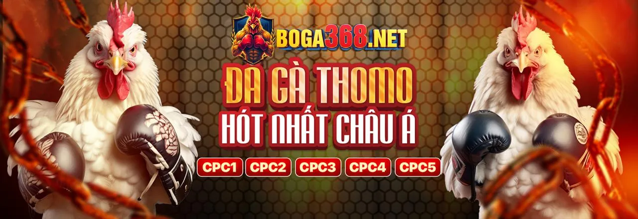 Các loại ưu đãi hấp dẫn